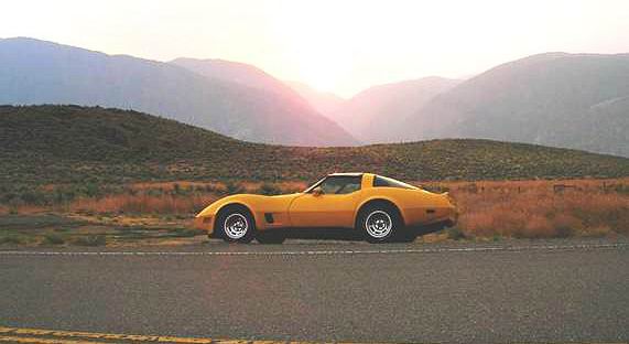 Yellow 81 Corvette Specialties
